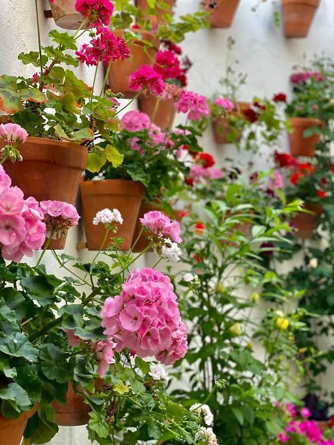 코르도바 Amal Casa De Huespedes 아파트